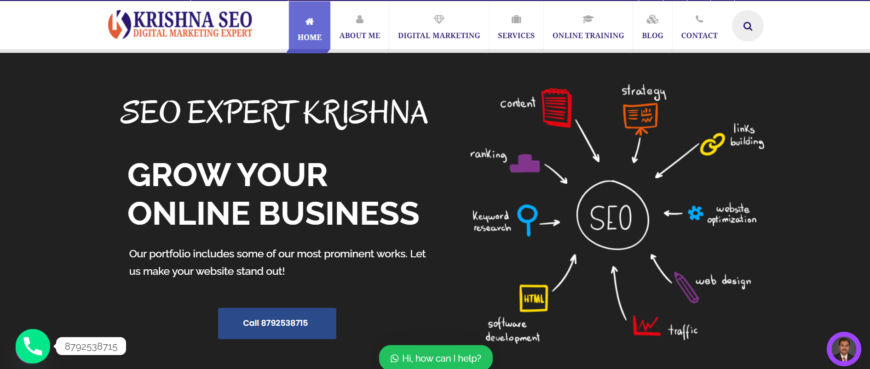 Krishna SEO Digital Marketing Expert