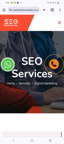 SEO Freelancer India